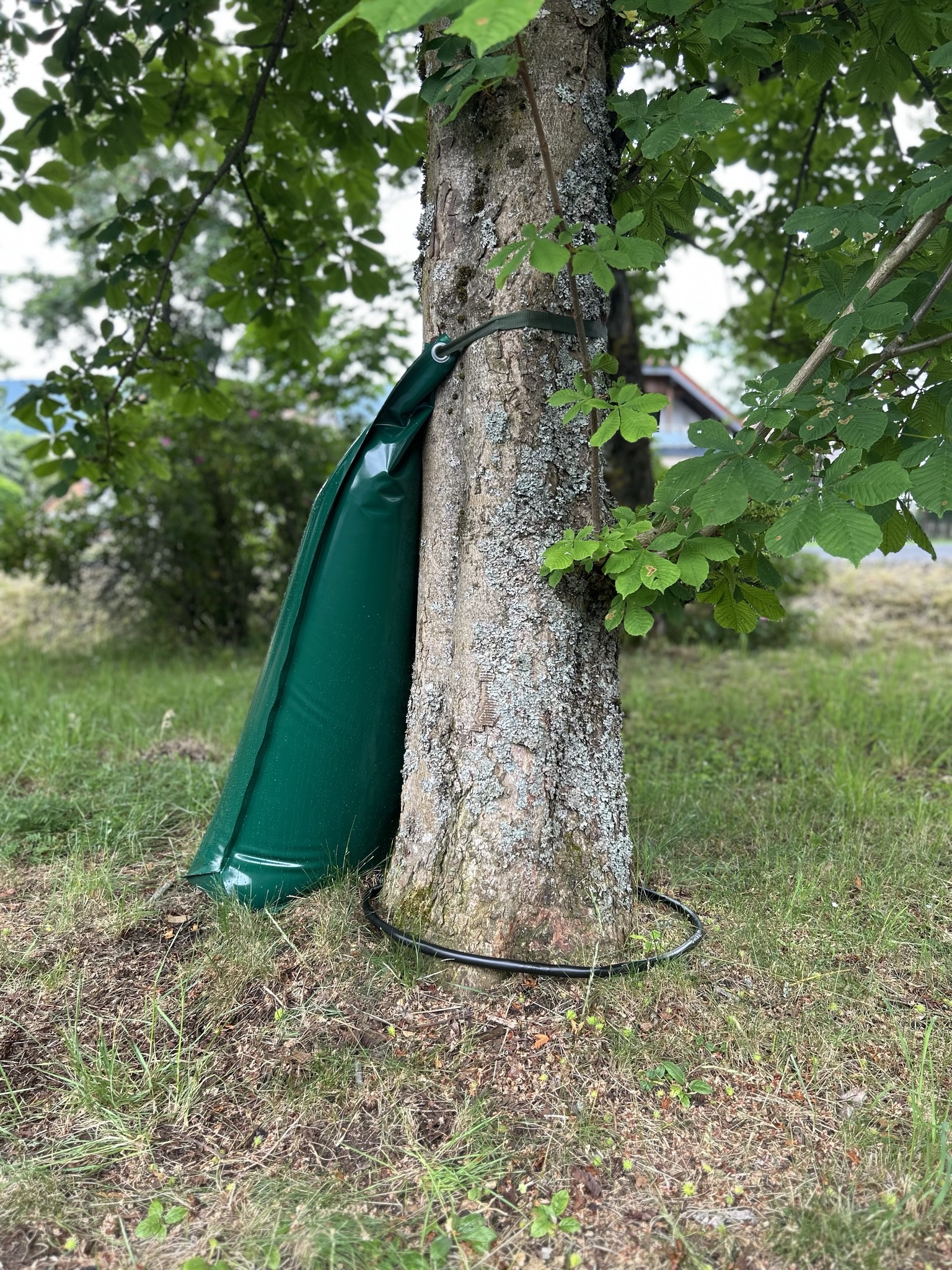 Baumbewässerungssack mit Bewässerungsring 24-30 Stunden Wasserabgabe