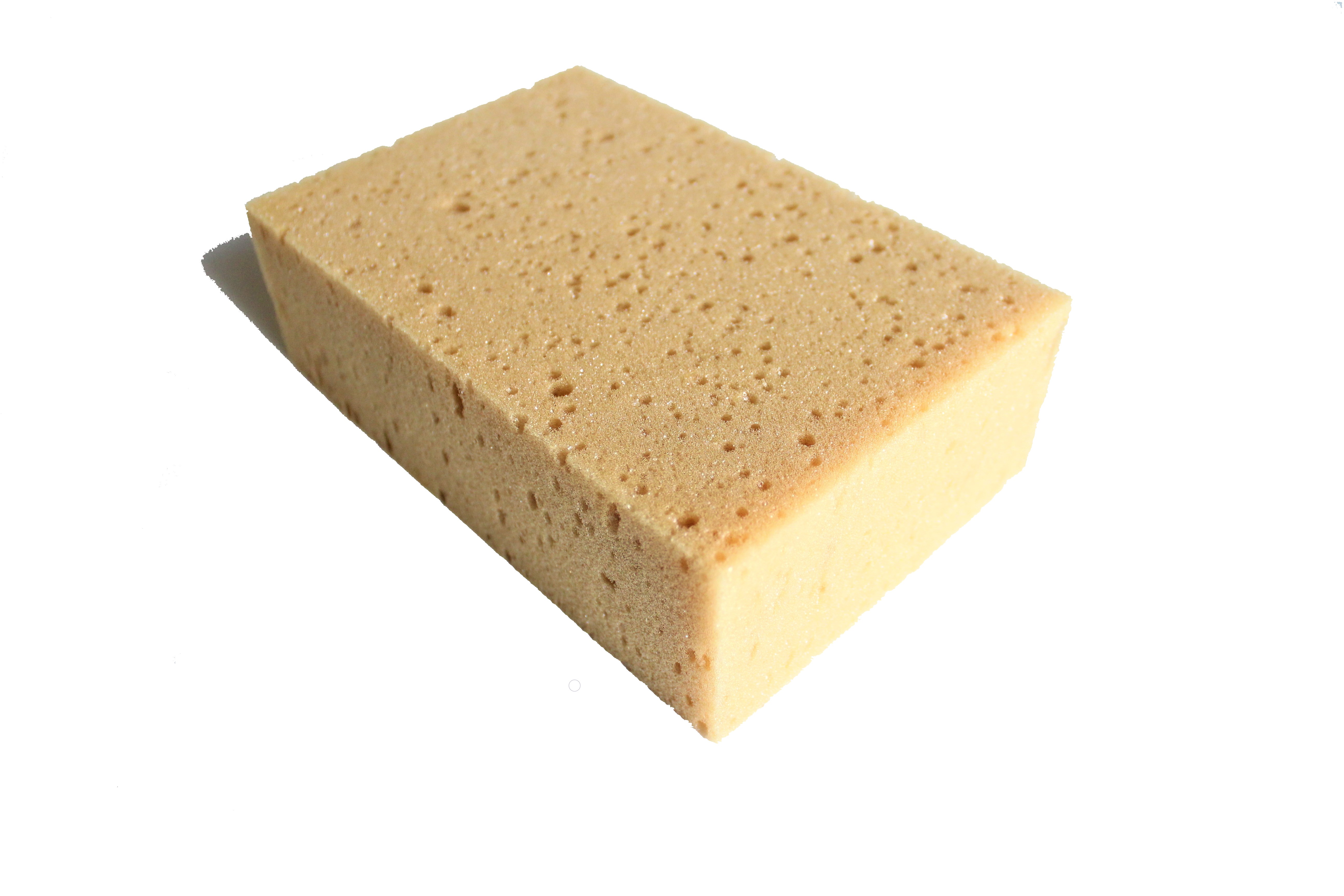 Reptilienschwamm Reptilienschwamm